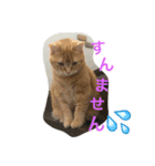 マコ＆ナナ（個別スタンプ：1）