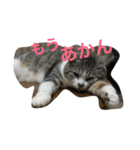 マコ＆ナナ（個別スタンプ：2）