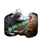 マコ＆ナナ（個別スタンプ：4）