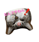 マコ＆ナナ（個別スタンプ：6）