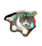 マコ＆ナナ（個別スタンプ：7）