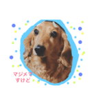 sora-yuki stamp（個別スタンプ：1）