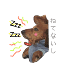 sora-yuki stamp（個別スタンプ：2）
