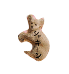 トイプードルのくうちゃん（個別スタンプ：9）