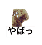トイプードルのくうちゃん（個別スタンプ：13）