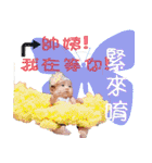 chen coco（個別スタンプ：29）