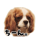 スプートニク！！！（個別スタンプ：1）
