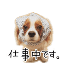 スプートニク！！！（個別スタンプ：2）