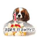 スプートニク！！！（個別スタンプ：3）