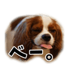 スプートニク！！！（個別スタンプ：4）
