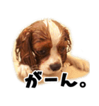 スプートニク！！！（個別スタンプ：5）