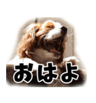 スプートニク！！！（個別スタンプ：7）