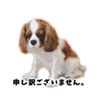 スプートニク！！！（個別スタンプ：9）