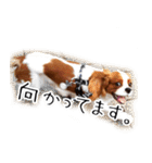 スプートニク！！！（個別スタンプ：15）