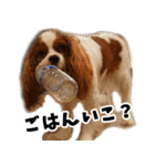 スプートニク！！！（個別スタンプ：18）