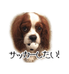 スプートニク！！！（個別スタンプ：20）