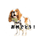 スプートニク！！！（個別スタンプ：22）