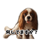 スプートニク！！！（個別スタンプ：24）