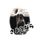 スプートニク！！！（個別スタンプ：26）