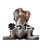 スプートニク！！！（個別スタンプ：27）