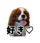 スプートニク！！！（個別スタンプ：28）