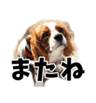 スプートニク！！！（個別スタンプ：30）