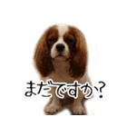 スプートニク！！！（個別スタンプ：32）