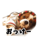 スプートニク！！！（個別スタンプ：33）