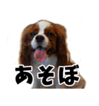 スプートニク！！！（個別スタンプ：39）