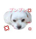 マンネ（個別スタンプ：2）