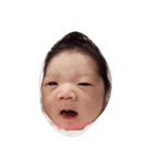 蓮さん。（個別スタンプ：5）