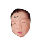 蓮さん。（個別スタンプ：6）