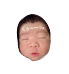 蓮さん。（個別スタンプ：16）