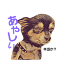 ちわわ兄弟（個別スタンプ：5）