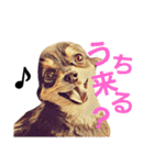 ちわわ兄弟（個別スタンプ：15）