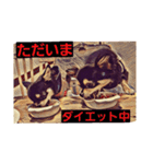 ちわわ兄弟（個別スタンプ：34）