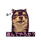 ちわわ兄弟（個別スタンプ：35）
