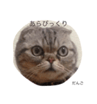 みんないっしょ1（個別スタンプ：4）