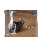 みんないっしょ1（個別スタンプ：6）