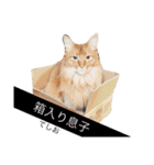 みんないっしょ1（個別スタンプ：8）