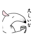 古風なアリクイ（個別スタンプ：14）