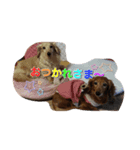 ぐみ♡るーくん 2（個別スタンプ：2）