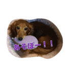 ぐみ♡るーくん 2（個別スタンプ：3）