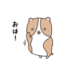 おいらもるもっと（個別スタンプ：1）