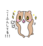 おいらもるもっと（個別スタンプ：5）