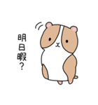 おいらもるもっと（個別スタンプ：29）