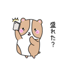 おいらもるもっと（個別スタンプ：37）
