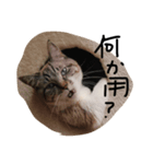 ご機嫌ナナメな気分（個別スタンプ：2）