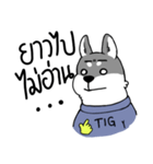 TIGKY Greanmer（個別スタンプ：2）