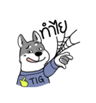 TIGKY Greanmer（個別スタンプ：24）